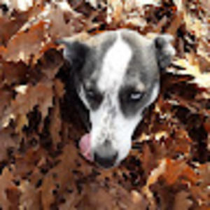 Meet your Posher, Renee